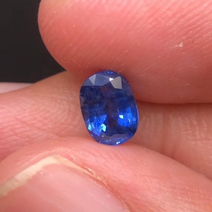 disco 1.16ct oval cut sapphire 