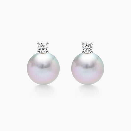 grey akoya pearl diamoon earrings in 18k white gold 