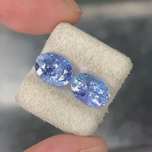 Made to Order - Sapphire Earrings in 18K White Gold